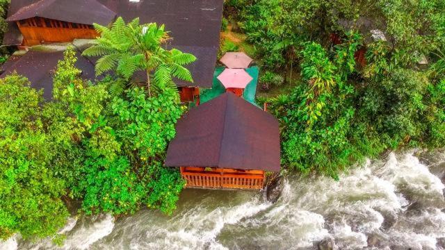 Mindo Garden Lodge And Wildlife Reserve エクステリア 写真