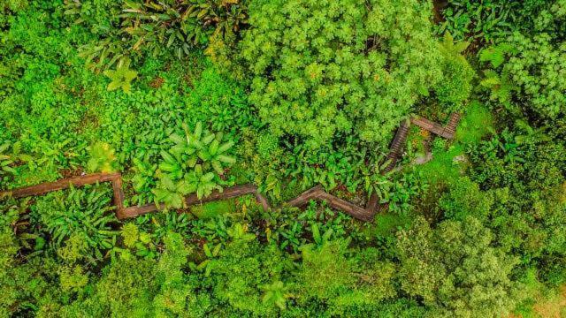 Mindo Garden Lodge And Wildlife Reserve エクステリア 写真