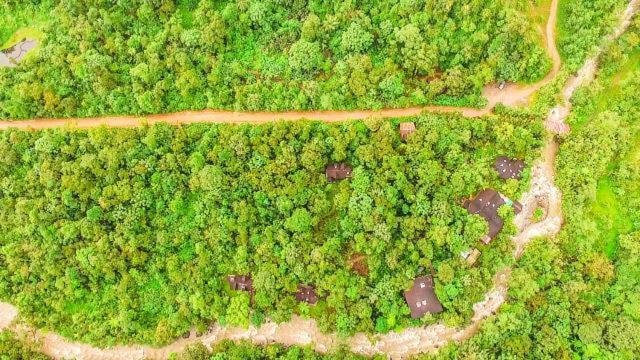 Mindo Garden Lodge And Wildlife Reserve エクステリア 写真
