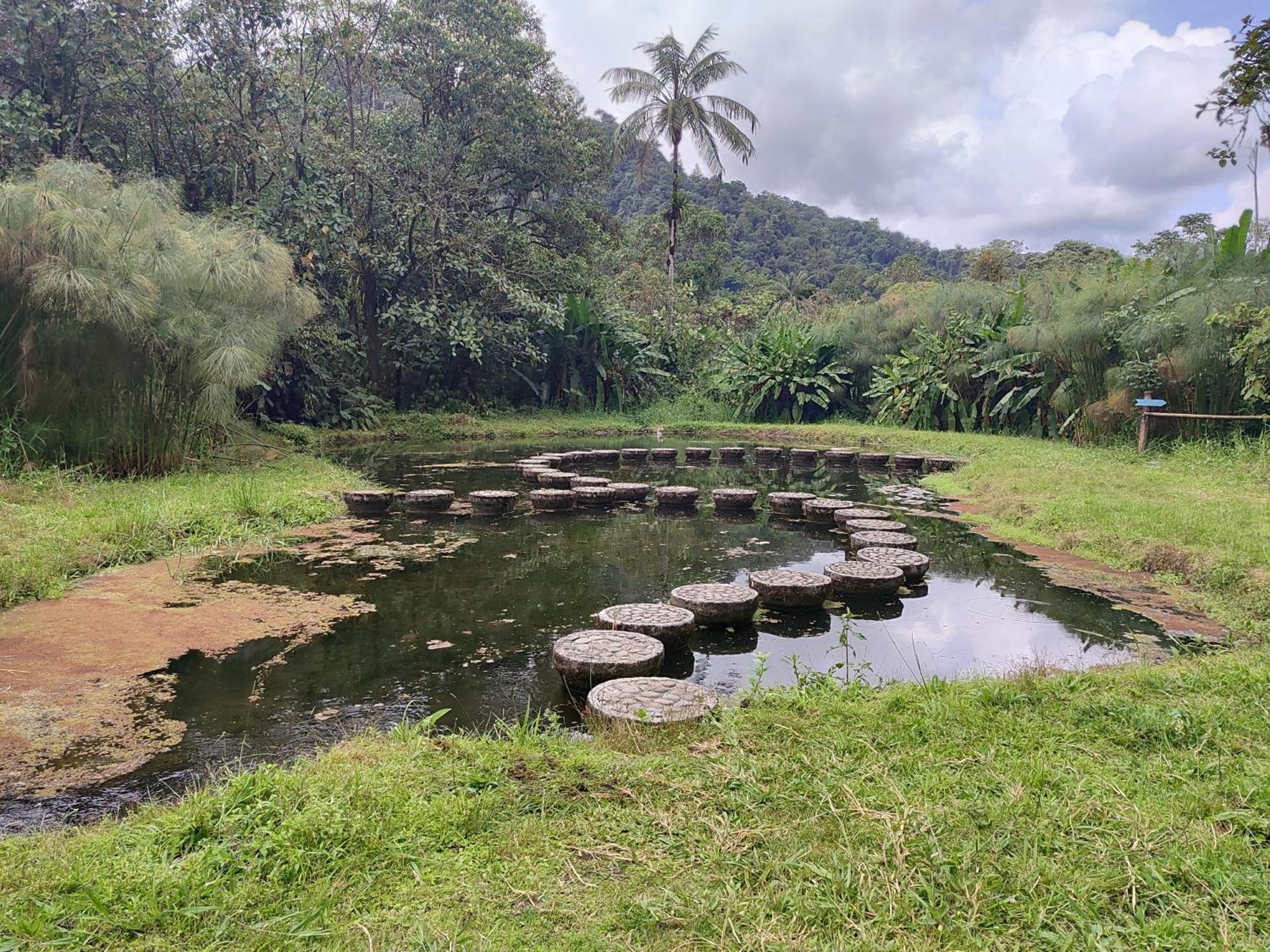 Mindo Garden Lodge And Wildlife Reserve エクステリア 写真