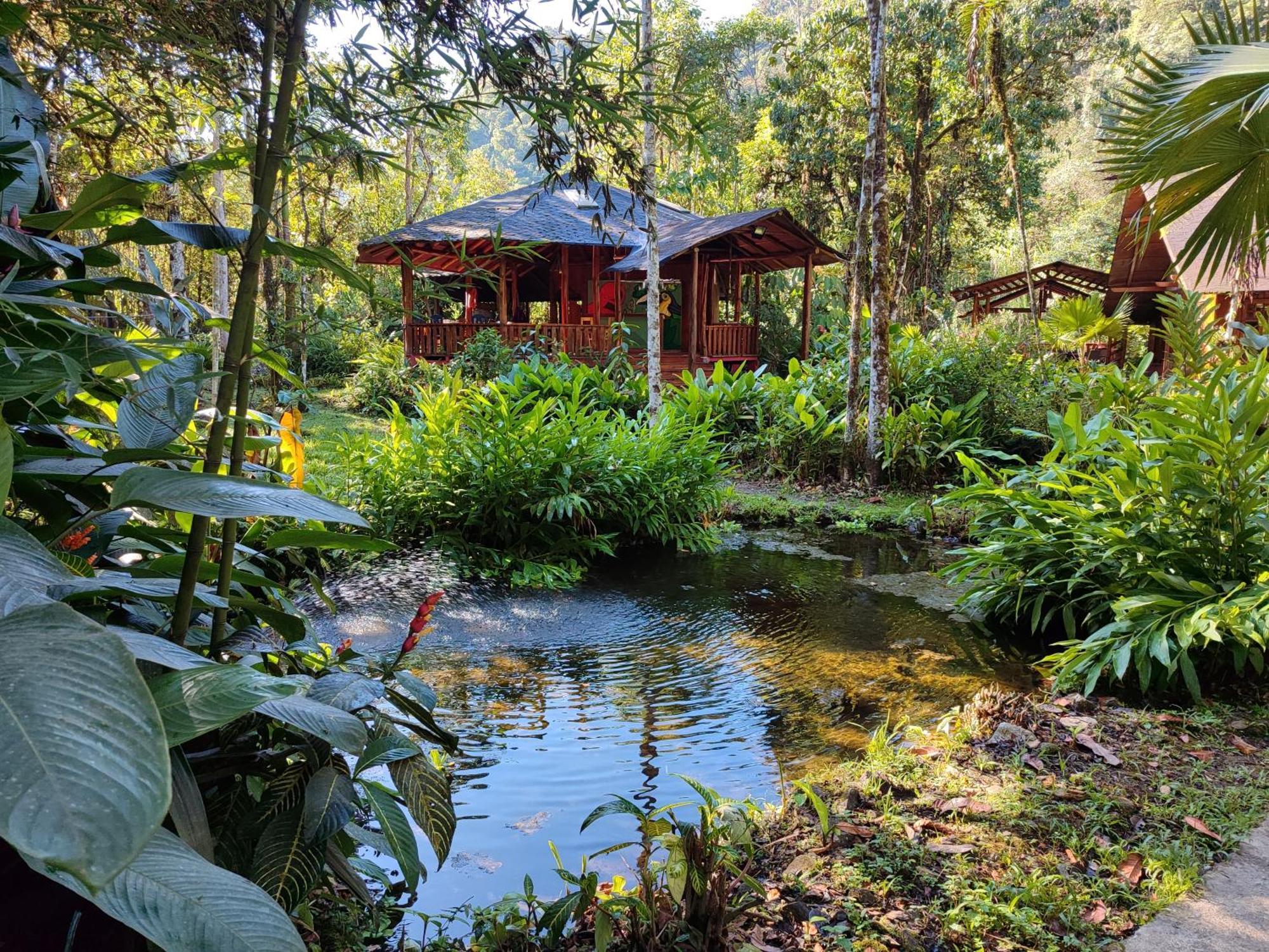 Mindo Garden Lodge And Wildlife Reserve エクステリア 写真