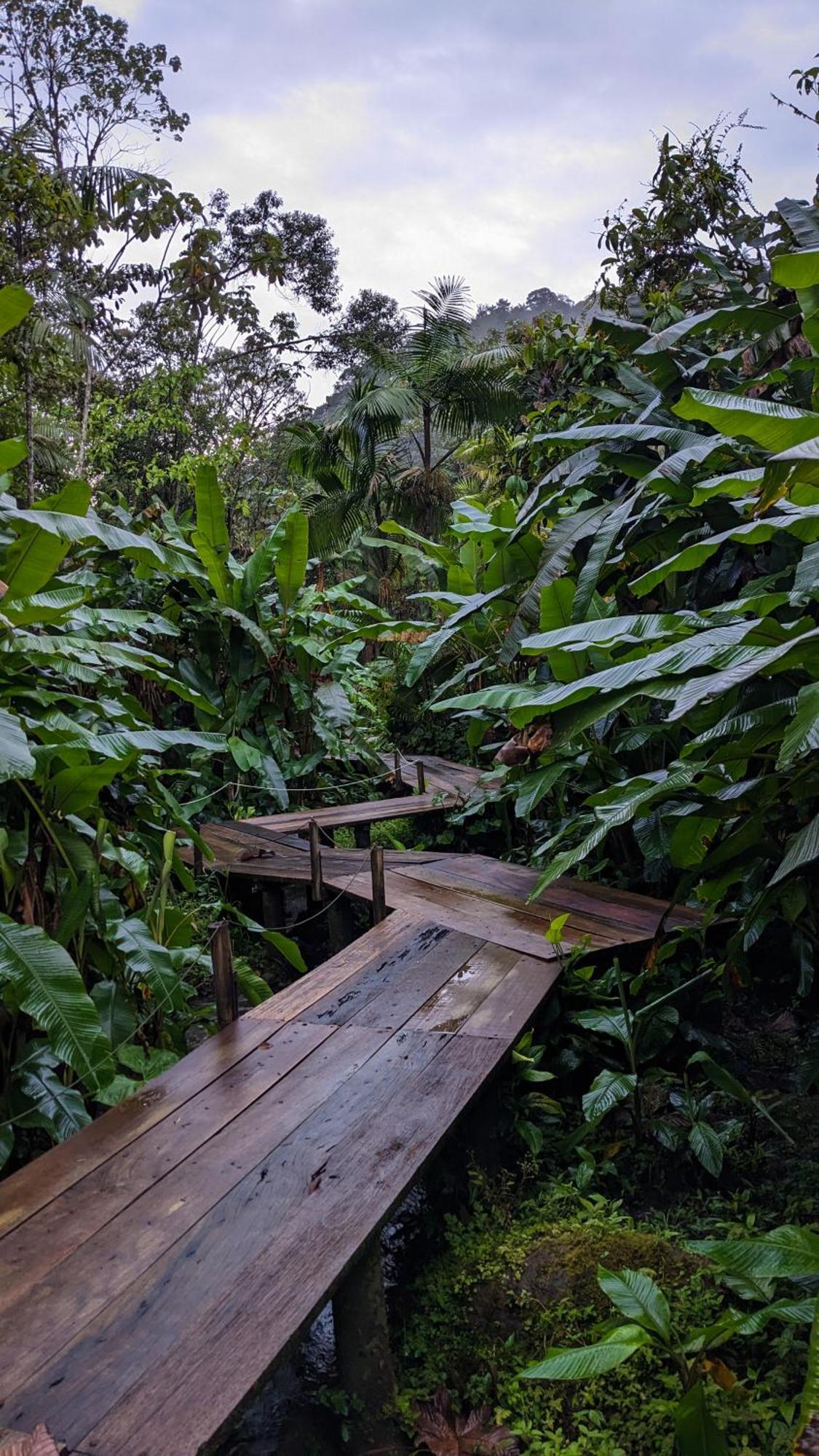 Mindo Garden Lodge And Wildlife Reserve エクステリア 写真