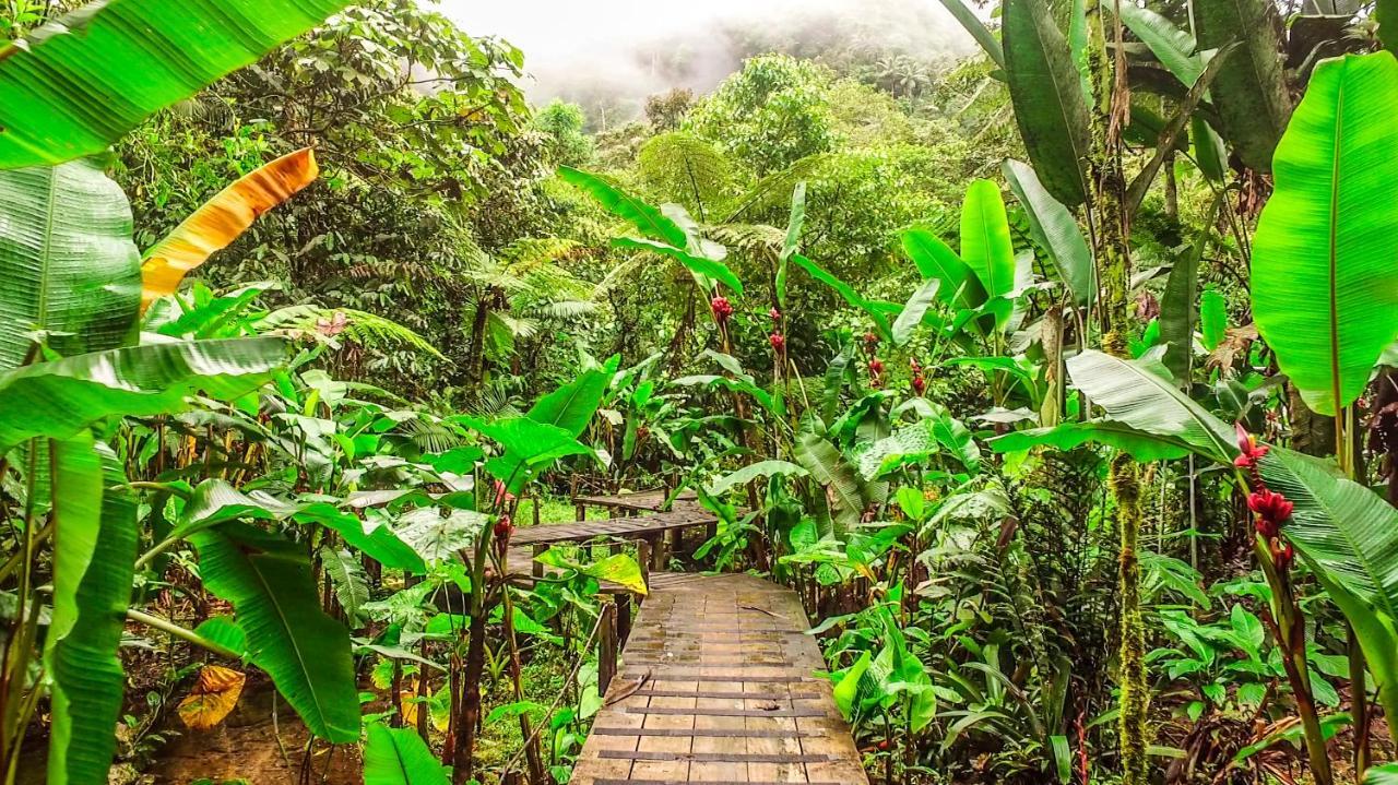 Mindo Garden Lodge And Wildlife Reserve エクステリア 写真